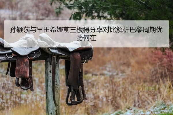 孙颖莎与早田希娜前三板得分率对比解析巴黎周期优势何在